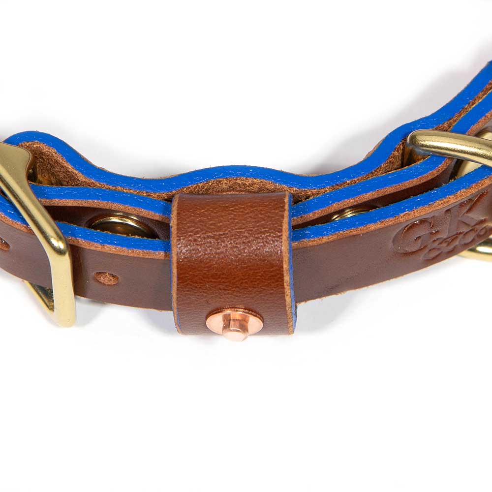 Brown Bridle Leather Dog Collar - Bright Blue