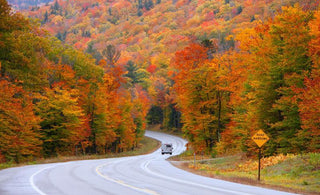 4 Weekend Roadtrips to Soak Up the Fall Foliage
