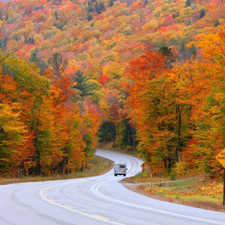 4 Weekend Roadtrips to Soak Up the Fall Foliage
