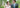 Anna & Alex, Jackson Hole Wedding