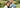 Isabel & James, Staunton Virginia Country Wedding