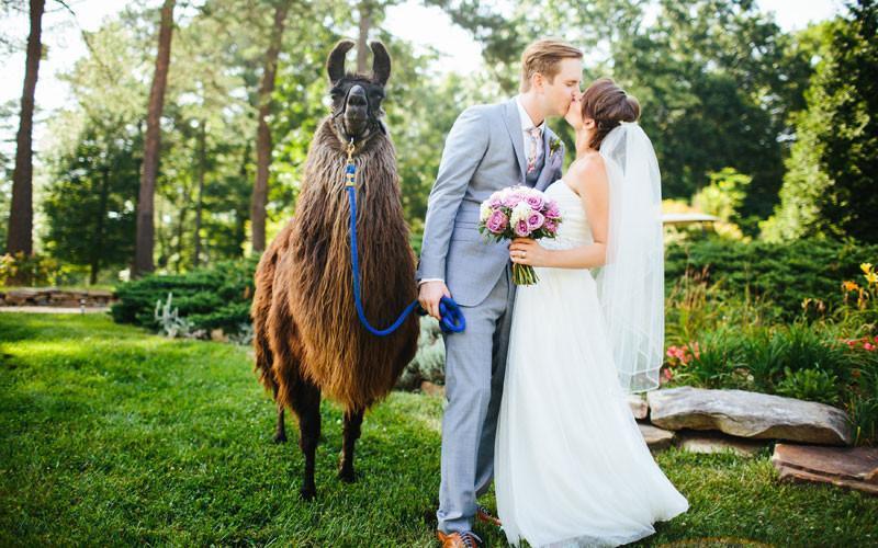 Rachel & Zach, A Party in Nashville