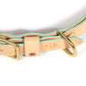 General Knot & Co. Dog Collars Small / Robins Egg Blue Blonde Leather Dog Collar -Robin's Egg Blue
