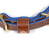 Brown Bridle Leather Dog Collar - Bright Blue