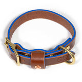Brown Bridle Leather Dog Collar - Bright Blue