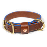 Brown Bridle Leather Dog Collar - Bright Blue