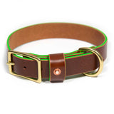 Brown Bridle Leather Dog Collar - Neon Green
