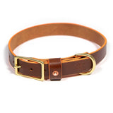 Brown Bridle Leather Dog Collar - Neon Orange