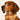Blonde Leather Dog Collar - Neon Orange